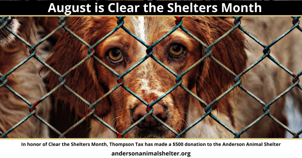 Poster showing a dog in a cage mentioning the Anderson Animal Shelter