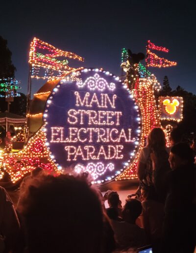 The Main Street Electrical Parade at Night