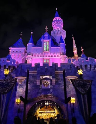 Cinderella's Castle at Night