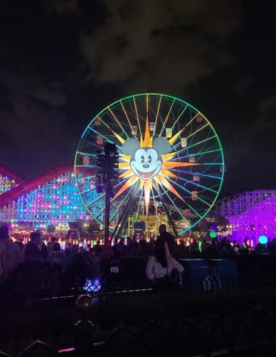 View of Disney at Night