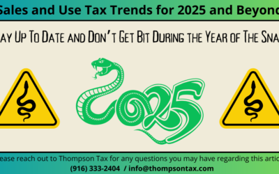 Sales and Use Tax Trends for 2025: What Businesses Need to Know as the Year of the Snake  Crawls In